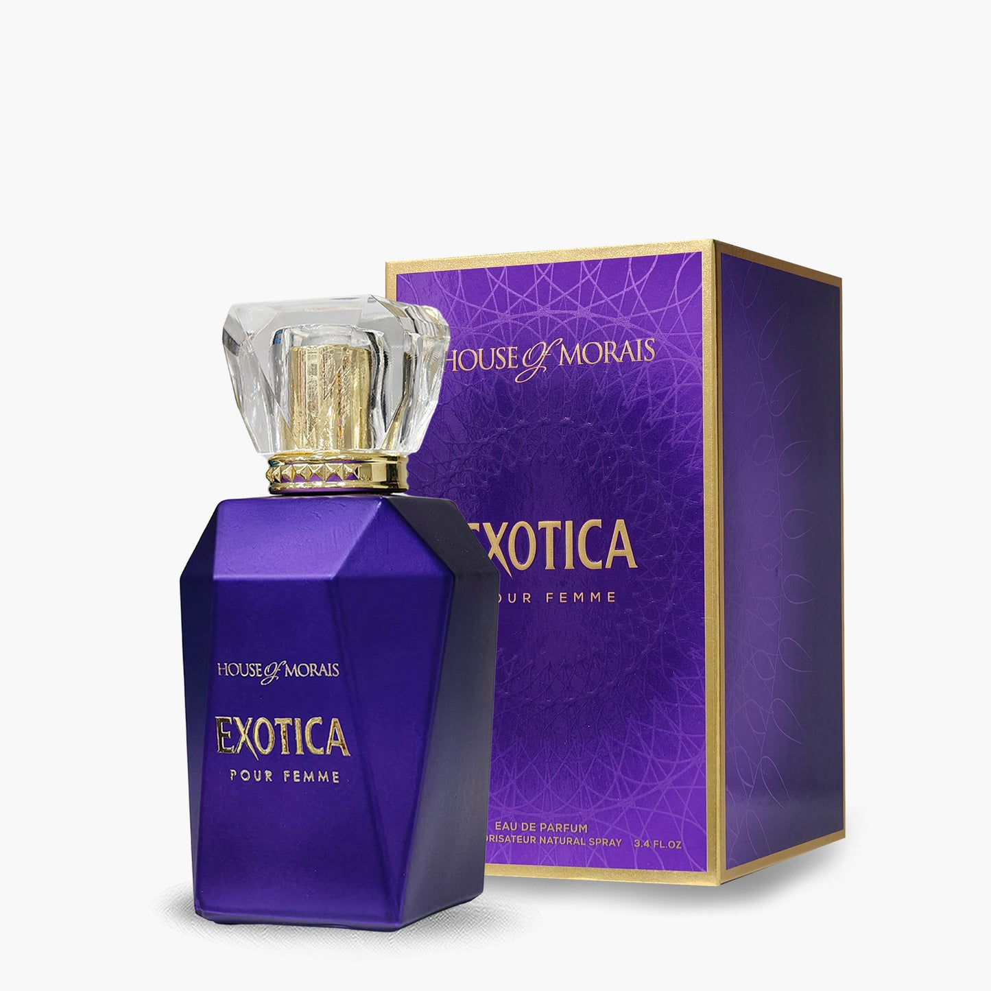 Exotica Pour Homme 100ml | House of Morais Perfume | Fragrance Secrets