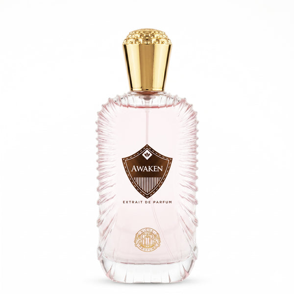 Niche Profumo Awaken Extrait De Parfum 100ML Unisex | Citrus Spicy Perfume
