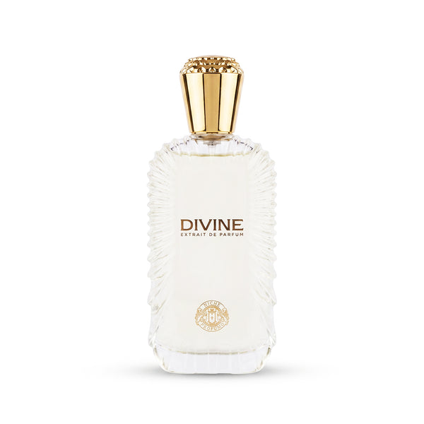 Niche Profumo Divine Extrait De Parfum 100ML Unisex | Aromatic Woody Perfume