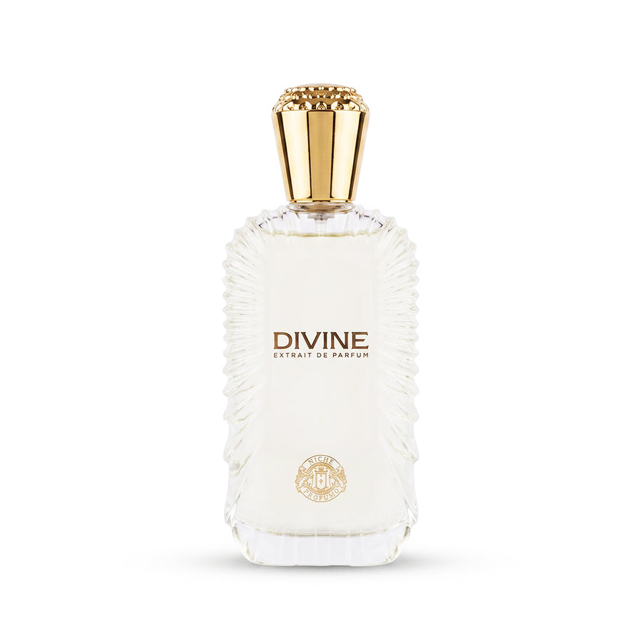 Niche Profumo Divine Extrait De Parfum 100ML Unisex | Aromatic Woody Perfume