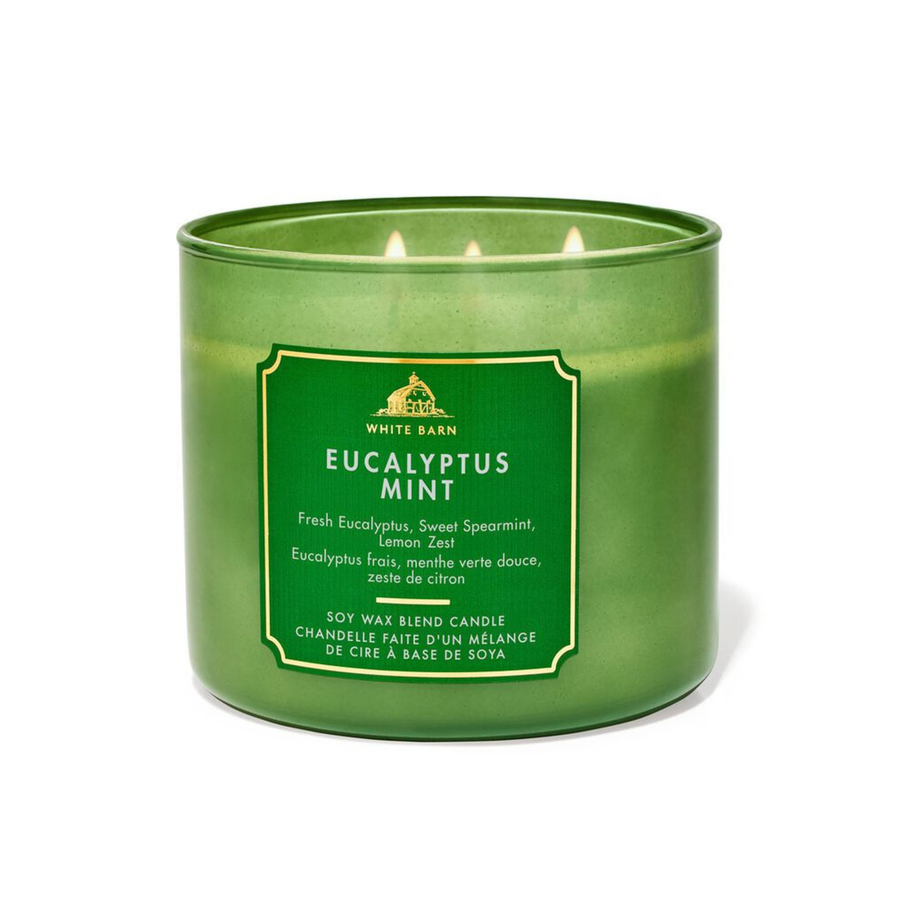 Bath & Body Works Eucalyptus Mint Candle | Fresh Herbal Aromatic Candle