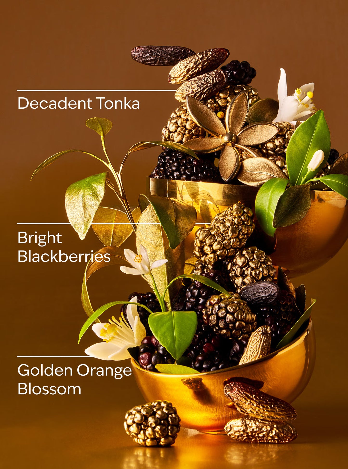 Bath & Body Works Touch of Gold Body Butter - Fragrance Secrets