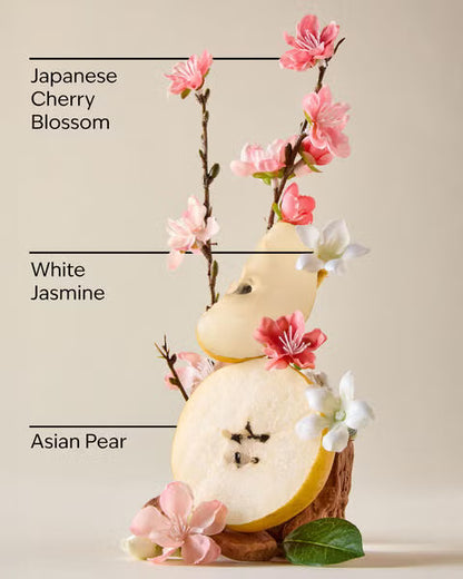 Bath & Body Works Japanese Cherry Blossom Body Butter - Fragrance Secrets
