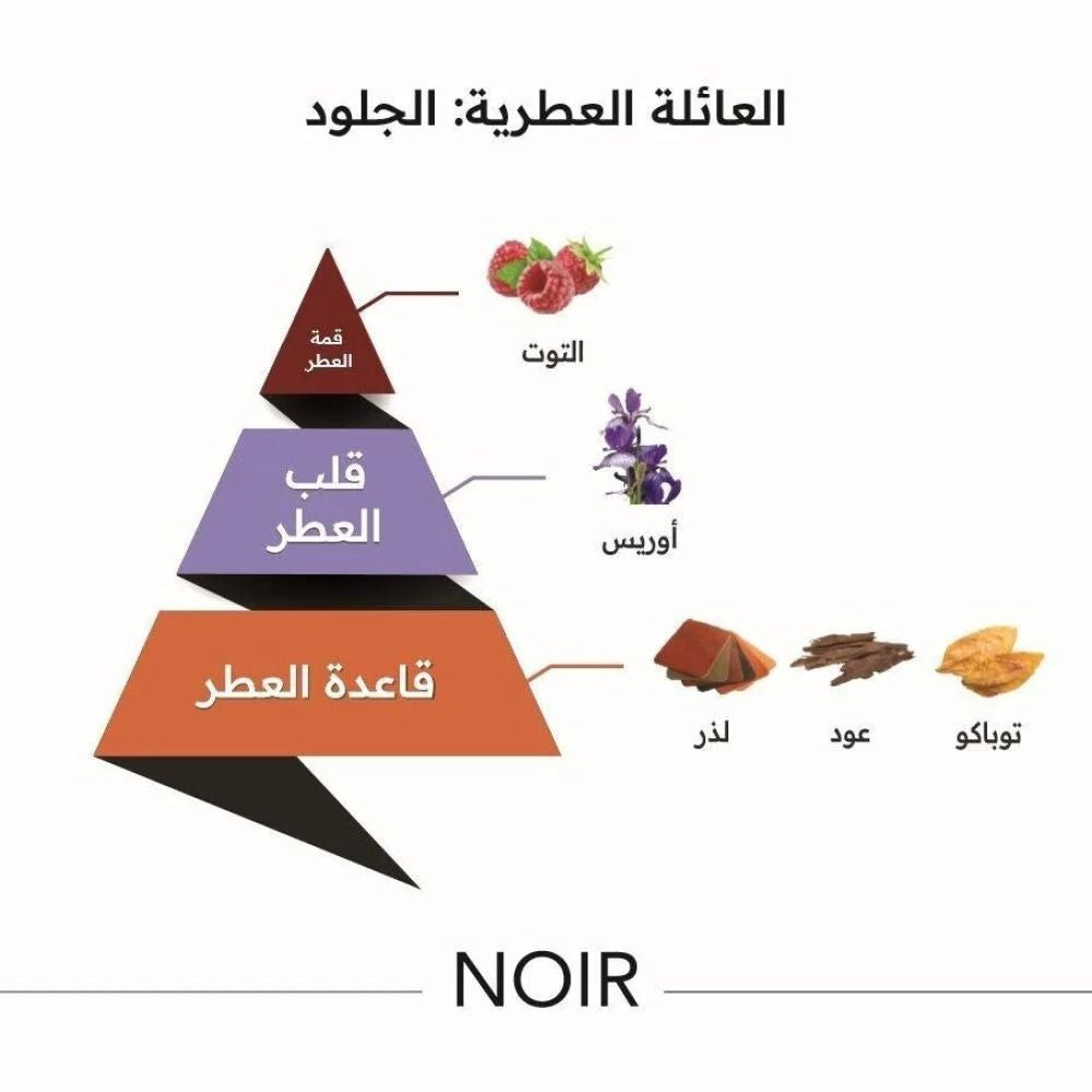 Al Majed Oud Noir perfume with notes