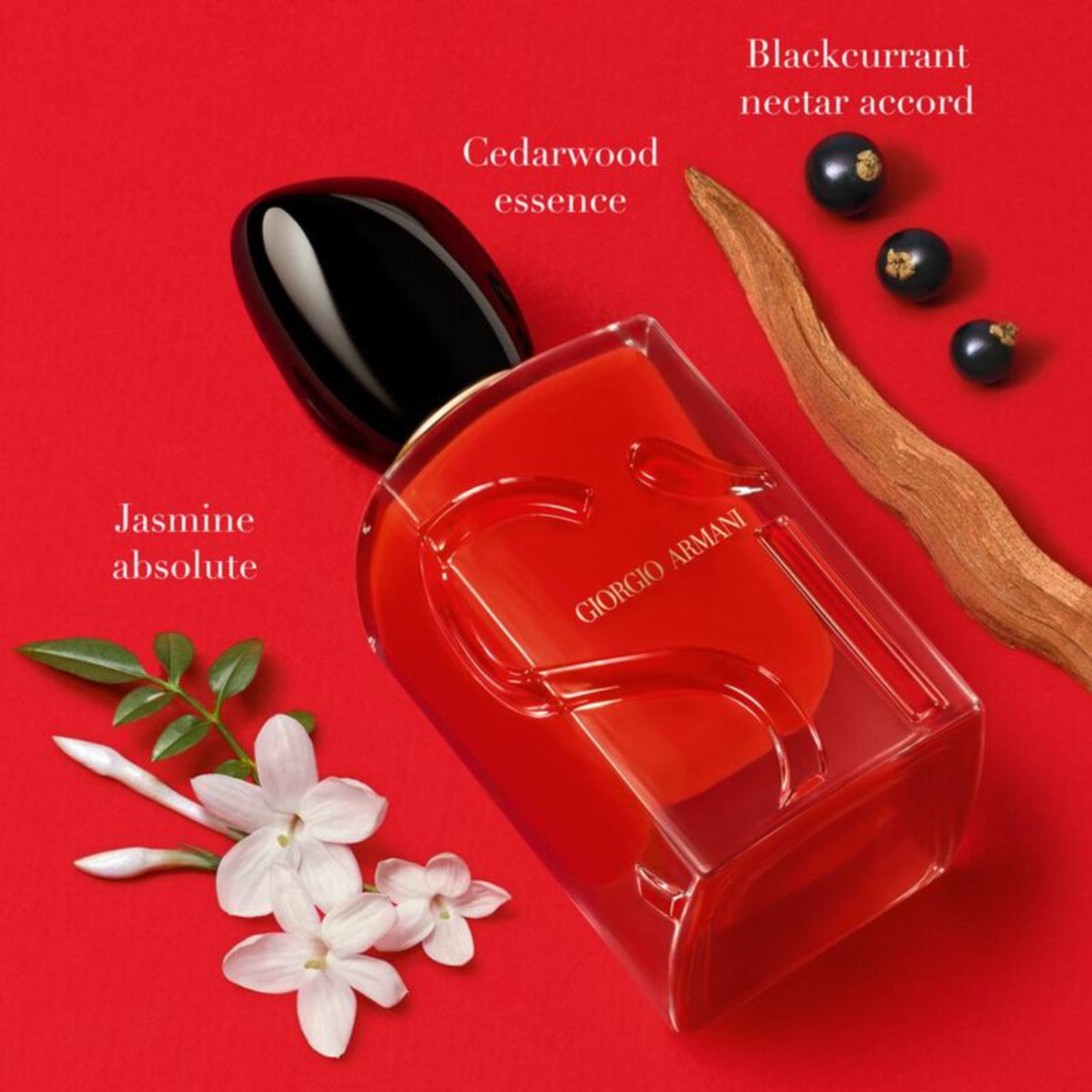 Giorgio Armani Sì Passione Eau De Parfum 100ML For Women – Fruity Floral Vanilla Perfume