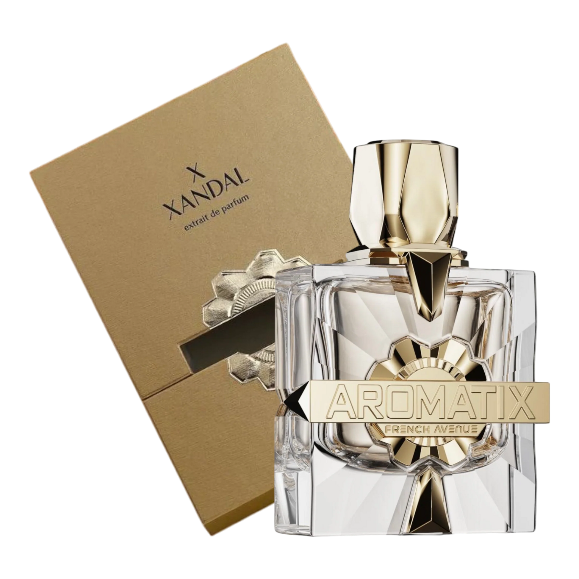 Aromatix X Xandal EDP 100ml spray bottle by French Avenue - Fragrance Secrets  

