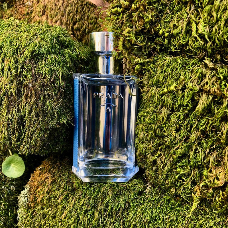L'Homme Prada EDT 100ml spray bottle by Prada - Fragrance Secrets  

