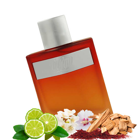 Ahmed Al Maghribi Mauzoon Eau De Parfum 100ML Unisex – Oriental Woody Perfume