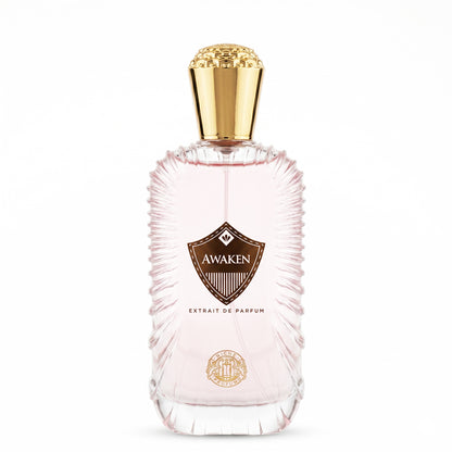 Niche Profumo Awaken Extrait De Parfum 100ML unisex perfume bottle