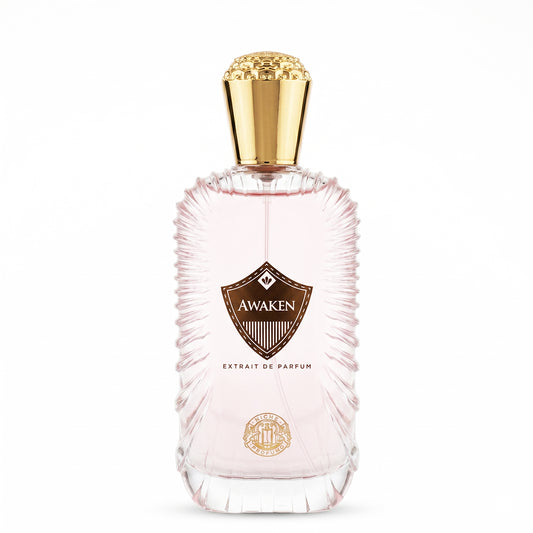 Niche Profumo Awaken Extrait De Parfum 100ML unisex perfume bottle