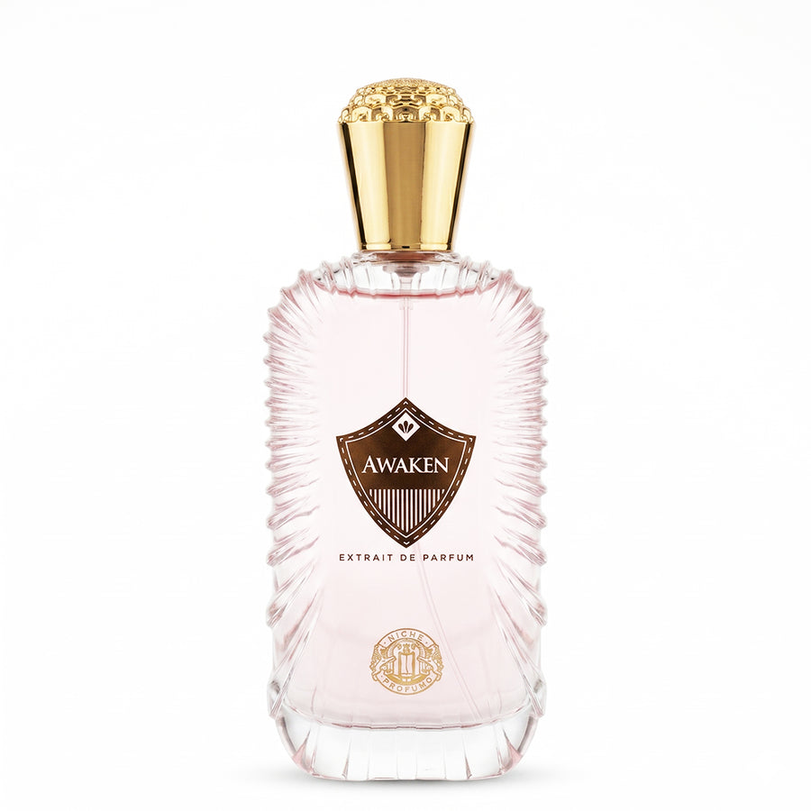 Niche Profumo Awaken Extrait De Parfum 100ML Unisex | Citrus Spicy Perfume
