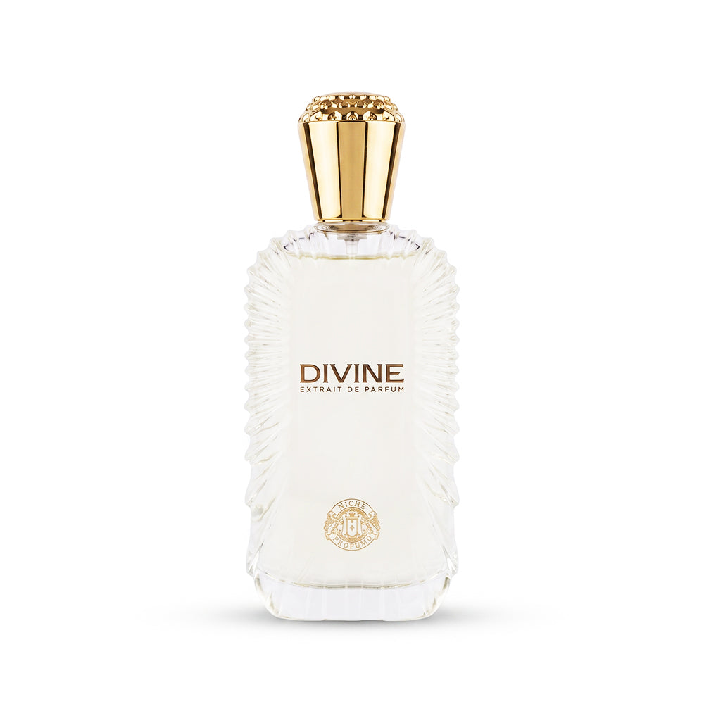 Niche Profumo Divine Extrait De Parfum 100ML unisex perfume bottle