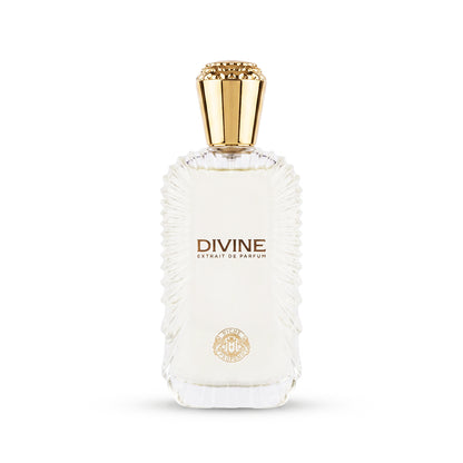 Niche Profumo Divine Extrait De Parfum 100ML unisex perfume bottle