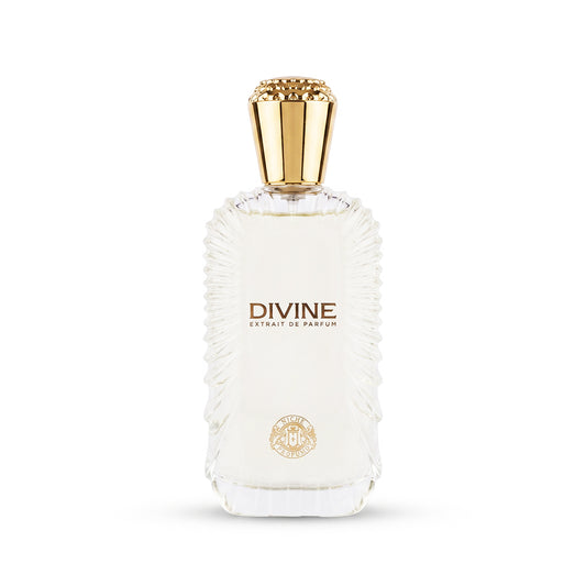 Niche Profumo Divine Extrait De Parfum 100ML unisex perfume bottle