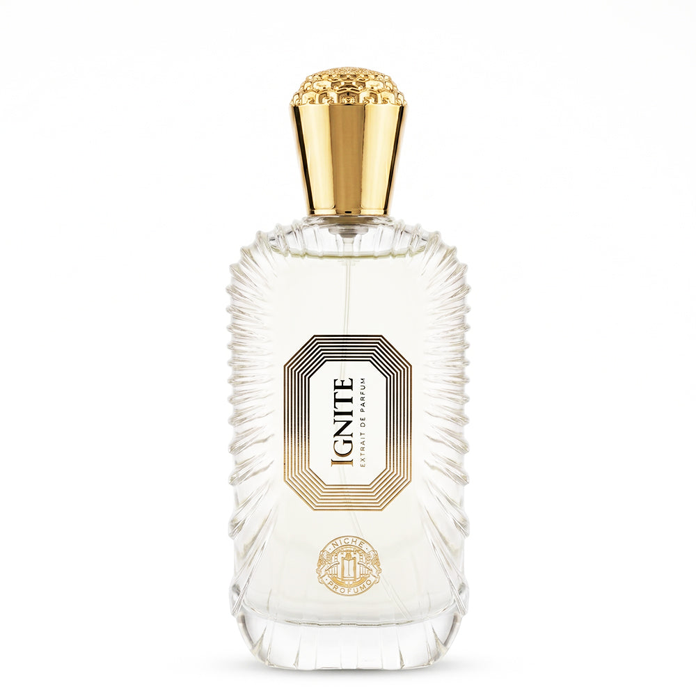 Niche Profumo Ignite Extrait De Parfum 100ML unisex perfume bottle
