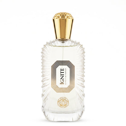Niche Profumo Ignite Extrait De Parfum 100ML unisex perfume bottle