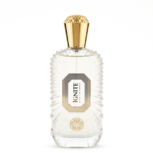 Niche Profumo Ignite Extrait De Parfum 100ML unisex perfume bottle
