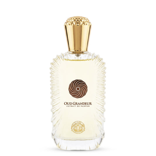 Niche Profumo Oud Grandeur Extrait De Parfum 100ML unisex perfume bottle