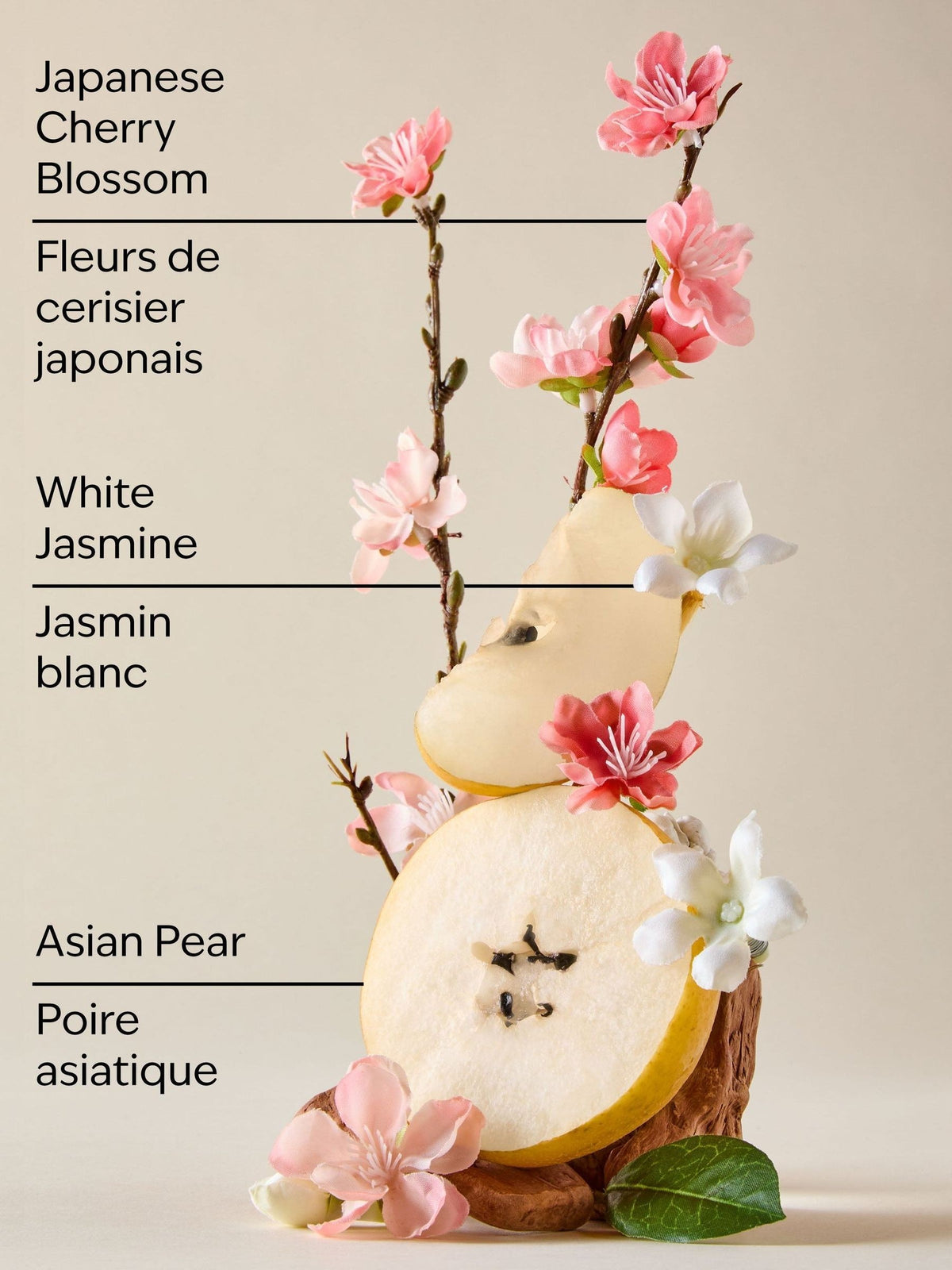 Bath & Body Works Japanese Cherry Blossom Candle - Fragrance Secrets