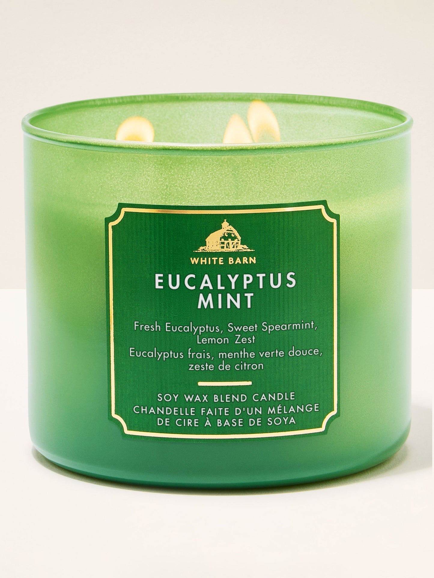 Bath & Body Works Eucalyptus Mint Candle - Fragrance Secrets
