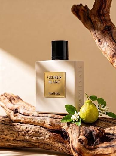 Rayhaan Cedrus Blanc Eau De Parfum 100ML - Unisex - Fragrance Secrets