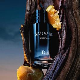 Distinctive Dubai Fragrance Treasures - Best Perfumes in UAE