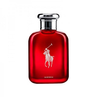 Signature Dubai Fragrance Appeal - Top Lasting Perfumes