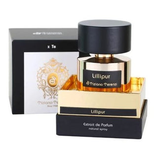 Premium Dubai Fragrance Selections - Best Perfumes in UAE