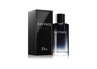 Exquisite Dubai Perfume Treasures - Best Perfumes in UAE