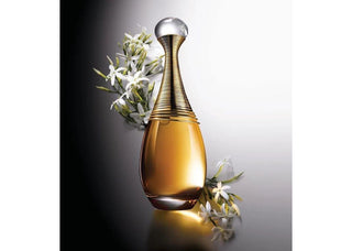 Sensual Dubai Fragrance Choices - Best Perfumes