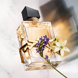 Dubai, UAE Perfume Elegance - Best Perfumes in Gulf